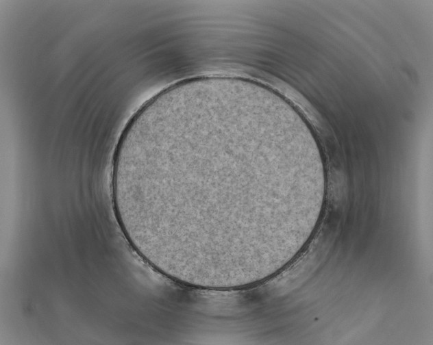 X0000112090856200908181302