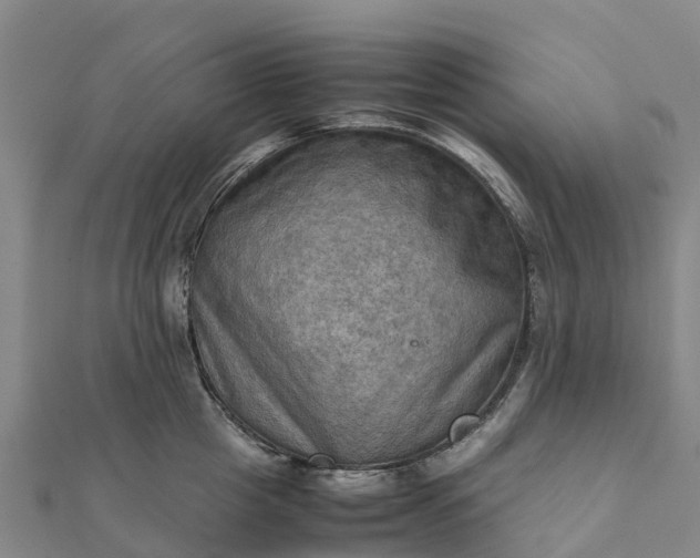 X0000112090857200908181302