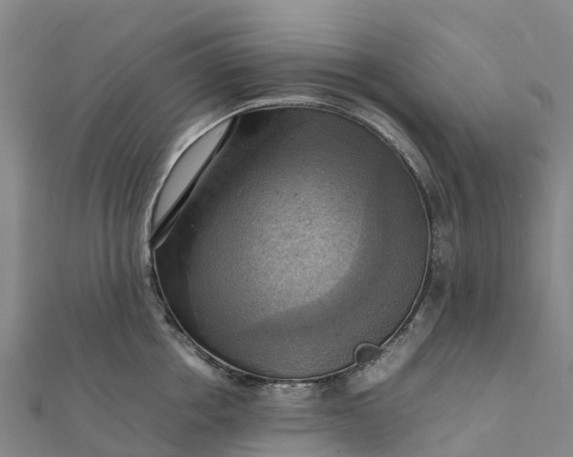 X0000112090858200908181302