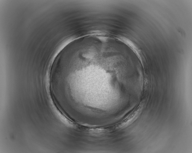 X0000112090859200908181302