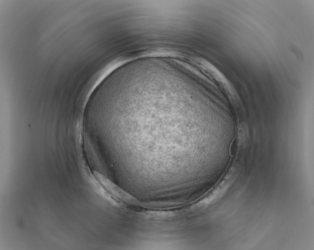 X0000112090860200908181302