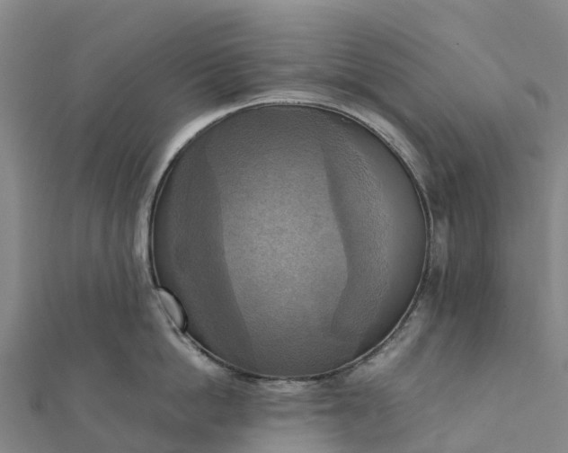 X0000112090862200908181302