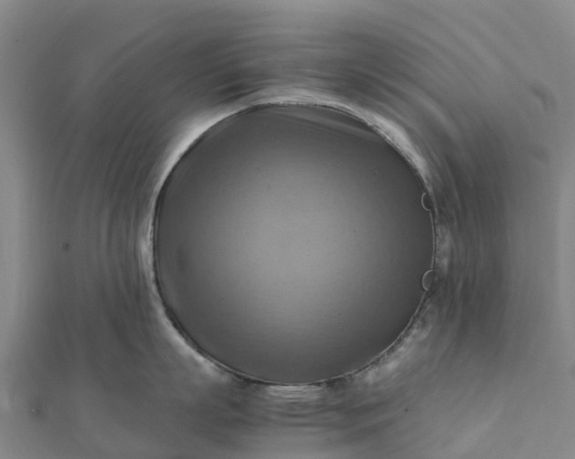 X0000112090863200908181302