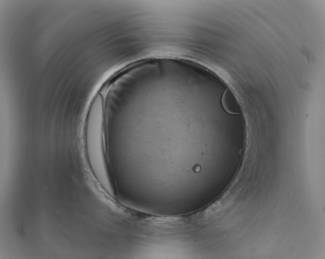 X0000112090864200908181302