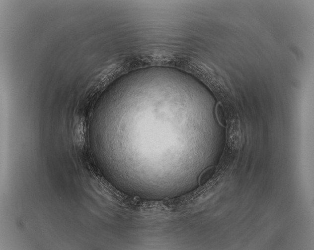 X0000112090866200908181301