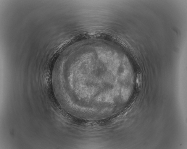 X0000112090867200908181301