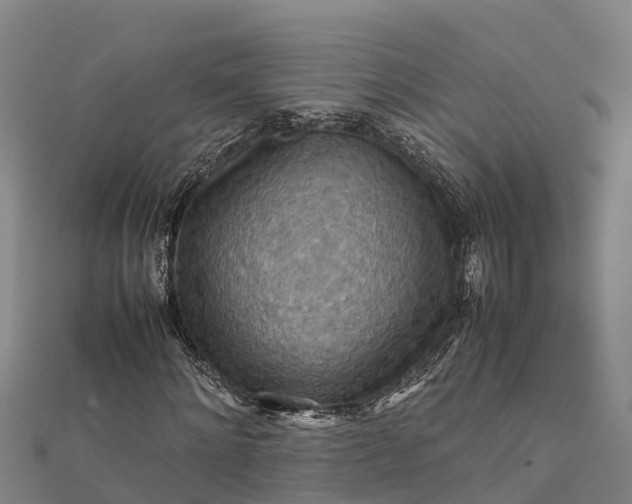 X0000112090868200908181301