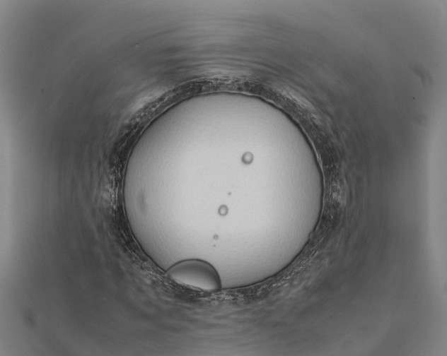 X0000112090869200908181301