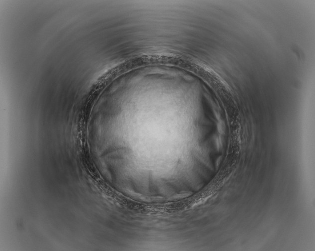 X0000112090870200908181301