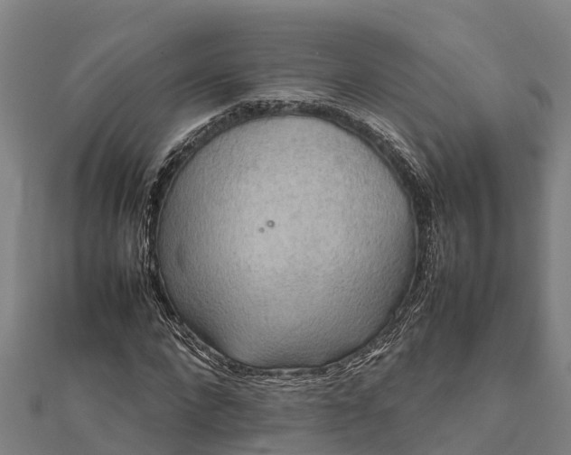 X0000112090872200908181301