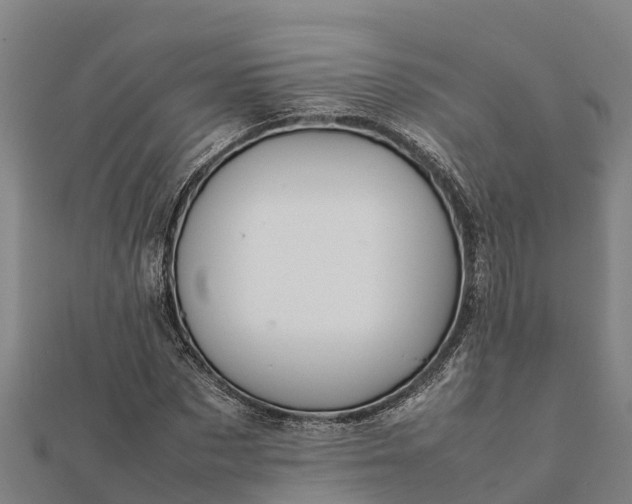 X0000112090873200908181301