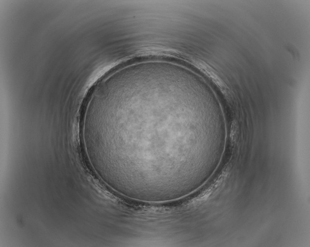 X0000112090877200908181301