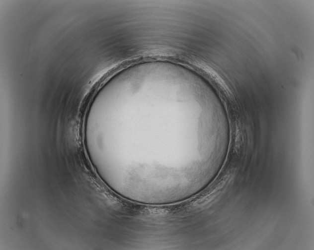 X0000112090878200908181301