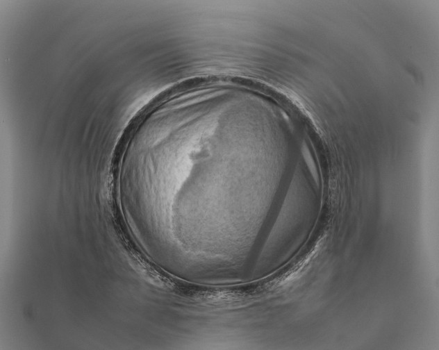 X0000112090879200908181301