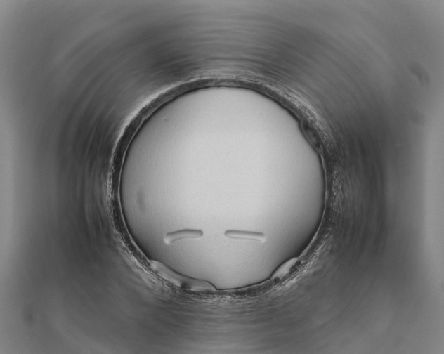 X0000112090880200908181301