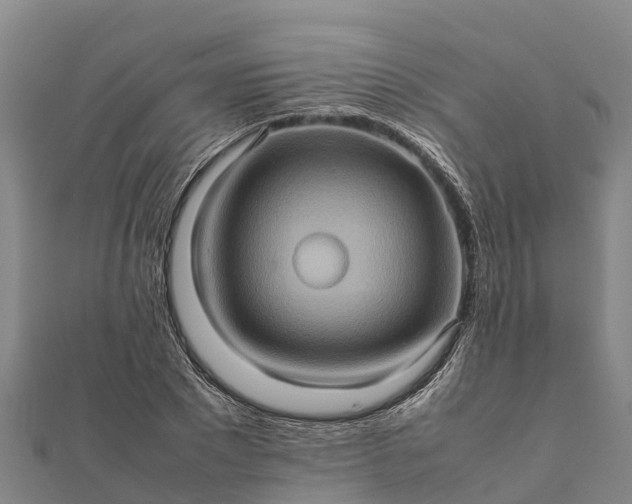 X0000112090881200908181301