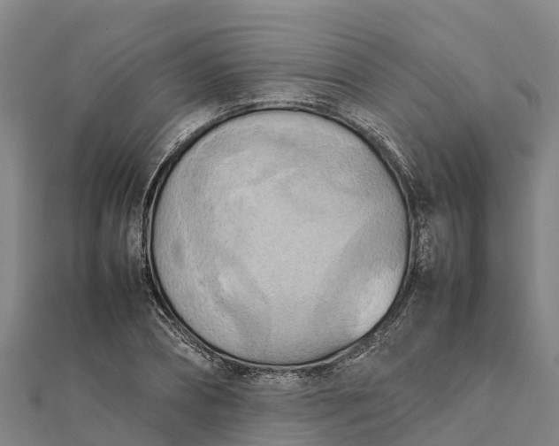 X0000112090882200908181301