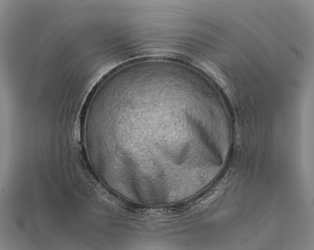 X0000112090883200908181301