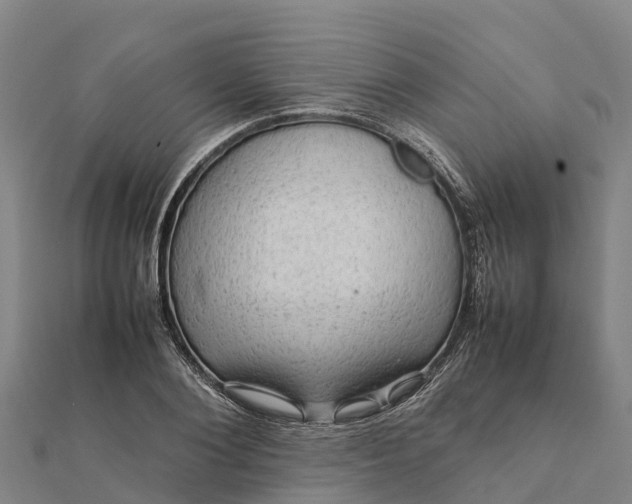 X0000112090884200908181301