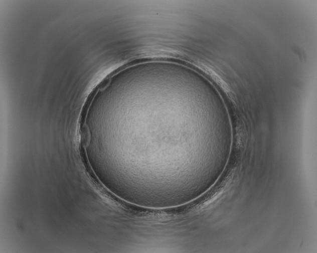 X0000112090885200908181301