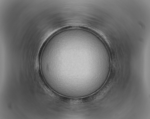 X0000112090887200908181301