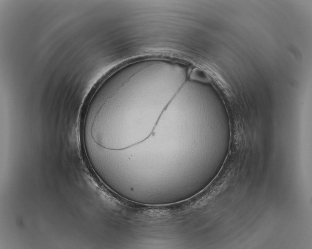 X0000112090888200908181301