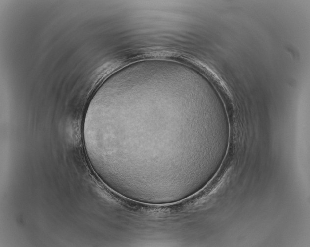 X0000112090889200908181301