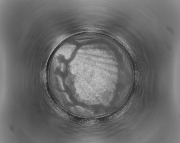 X0000112090891200908181301