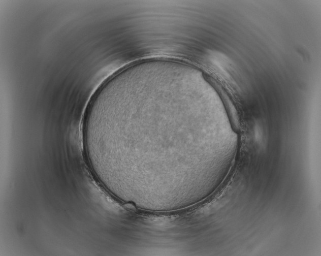 X0000112090892200908181301