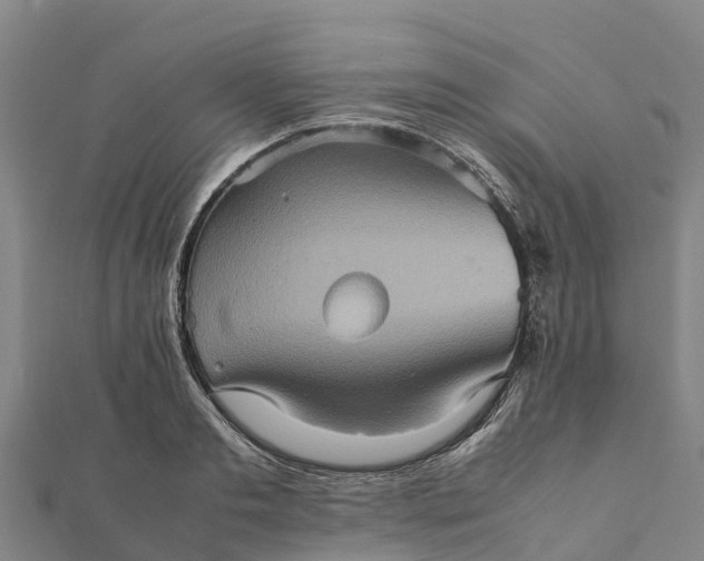 X0000112090893200908181301