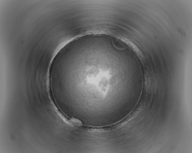 X0000112090894200908181301