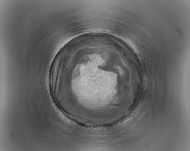 X0000112090895200908181301