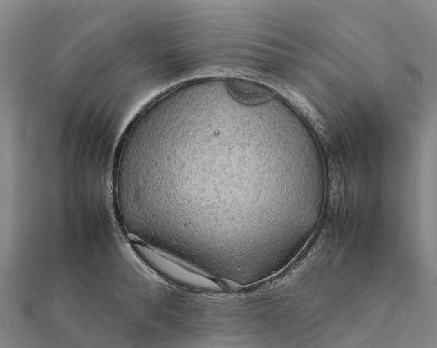 X0000112090896200908181301