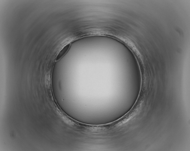 X0000112090897200908181301