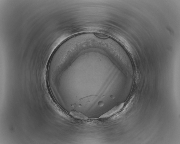 X0000112090899200908181301