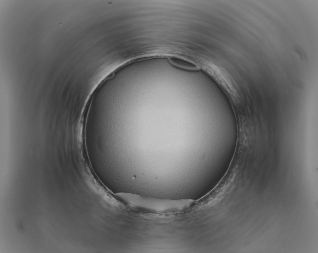 X0000112090900200908181301