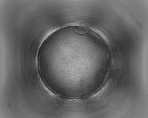 X0000112090902200908181301