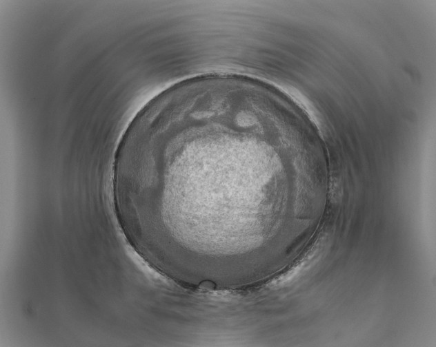 X0000112090903200908181301