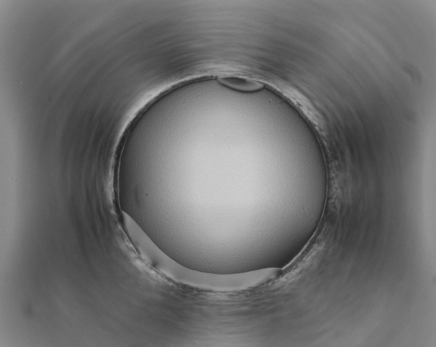 X0000112090904200908181301