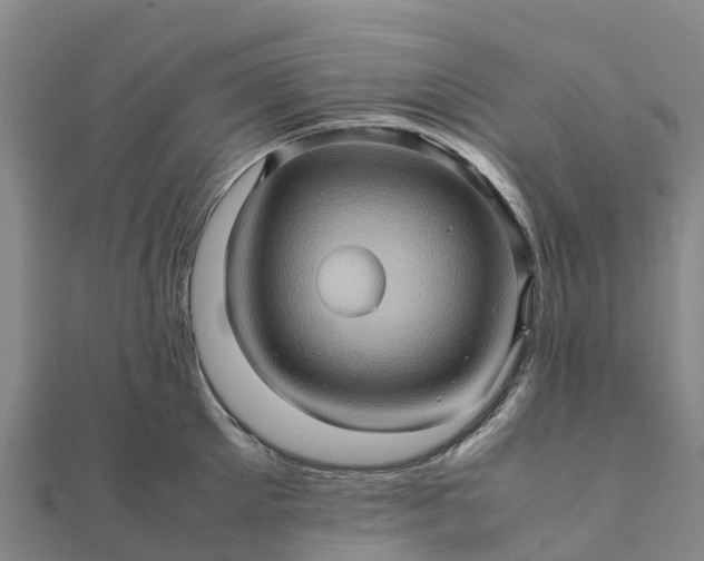 X0000112090905200908181301