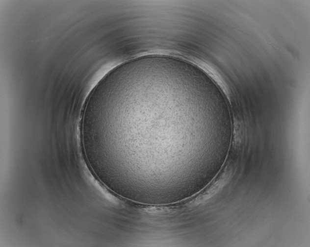 X0000112090906200908181301