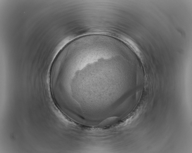 X0000112090907200908181301