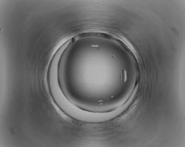 X0000112090909200908181301