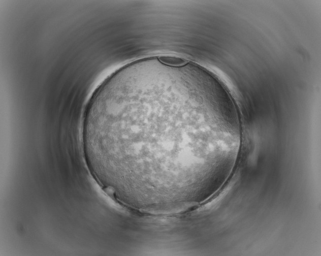 X0000112090910200908181301