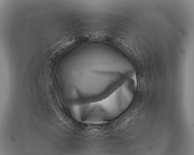 X0000112090913200908181300