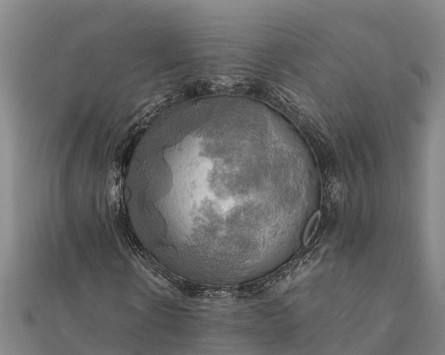 X0000112090914200908181300