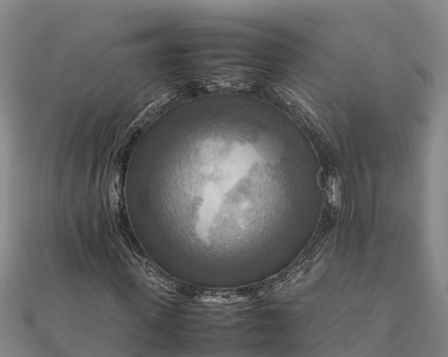 X0000112090915200908181300