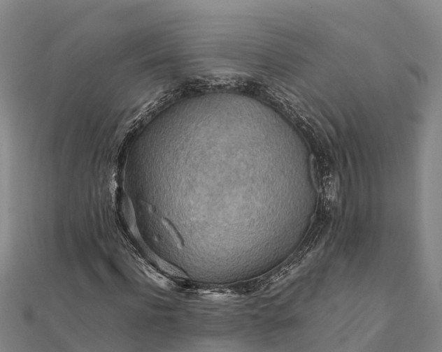 X0000112090916200908181300