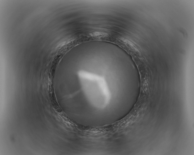 X0000112090917200908181300