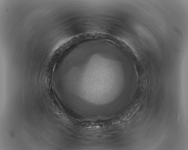 X0000112090919200908181300